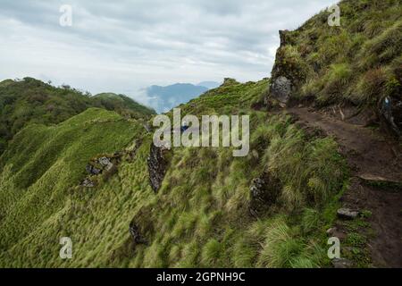 NÉPAL - 31 MAI 2016 : un homme non identifié marche sur le sentier étroit à travers la montagne verte-couverte sur la route de randonnée vers Machapuchares Banque D'Images