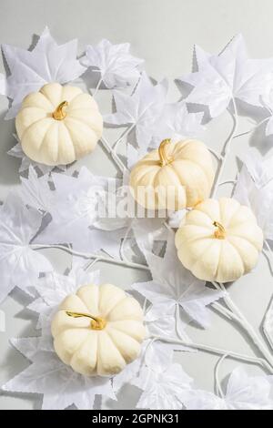 Concept Halloween. Feuilles d'érable blanc fantôme sur une branche et citrouilles blanches. Décor traditionnel de vacances sur fond gris. Une lumière dure et sombre tendance Banque D'Images