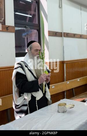 Un juif orthodoxe bénit un esrog et une berlav sur Sukkos.Dans une synagogue presque vide à Williamsburg, Brooklyn New York City Banque D'Images