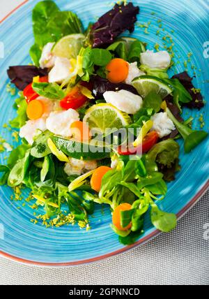 Délicieuse salade marinée avec le merlu. Recette : mariner 200g de filet de merlu en tranches dans le jus de lime et le poivre noir. Servir avec de la laitue, des carottes, des limes sl Banque D'Images