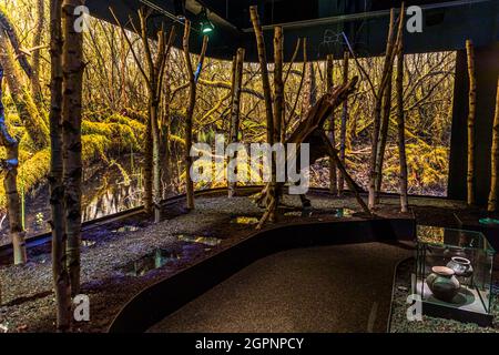 Au musée Archipellago à Faaborg. Une visite est fortement recommandée comme prélude à une randonnée des mers de l'île. Il s'agit de la formation de ce paysage mondial unique de l'âge des glaces et inclut l'effet de la nature sur les humains. Faaborg-Midtfyn, Danemark Banque D'Images