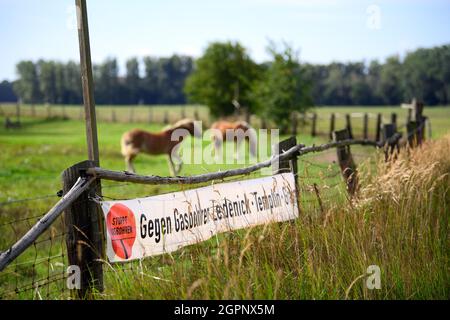 30 septembre 2021, Brandenburg, Zehdenick/OT Wesendorf: Une bannière avec l'inscription 'forage de gaz contre forage de gaz Zehdenick-Templin-Gransee' est accroché à la clôture d'un enclos de chevaux. La société danoise Jasper Resources veut commencer des forages d'essai pour le gaz naturel juste à l'extérieur du village, peut-être pour produire du gaz pendant 30 ans. En 2018, les premières enquêtes sismiques ont eu lieu très près du enclos. L'initiative citoyenne craint pour la qualité de l'eau et le tourisme dans la région. Photo: Soeren Stache/dpa-Zentralbild/dpa Banque D'Images