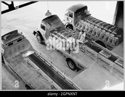 Les camions dans la baie de chargement des camions à Shoreham Cement Works sont chargés avec des sacs de Blue Circle Ferrocrete. John Laing & amp; son Ltd a construit une nouvelle cimenterie pour Associated Portland Cement Manufacturers Ltd dans cette carrière de craie à Upper Beeding près de Shoreham-by-Sea, avec des travaux dans la carrière à partir de février 1949. Les travaux sur le site étaient variés et complexes et comprenaient la construction de bâtiments dans les cimenteries, de voies ferrées et d'une usine de traitement du charbon. Banque D'Images