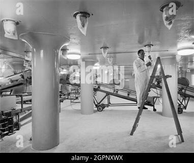 L'intérieur d'un silo à sucre à Spalding Sugar Factory, avec un homme ajustant un couvercle sur une sortie du plancher de sucre au-dessus. Deux silos et une tour d'ascenseur ont été construits par Laing à Spalding Sugar Factory pour la British Sugar Corporation en 1965. Une pénurie de ciment a ralenti les progrès de la construction des silos, qui ont atteint leur pleine hauteur en août 1965. Une fois terminées, elles détenaient chacune 12,000 tonnes de sucre. Banque D'Images