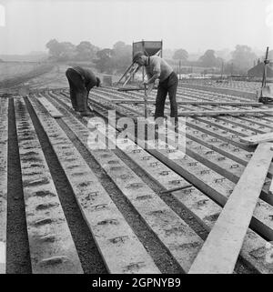 Une vue de Lytag étant utilisé comme infill sur le pont 360 pendant la construction de l'autoroute Birmingham-Preston (M6), montrant deux ouvriers qui pelent l'agrégat léger entre des poutres en béton armé. Cette image a été cataloguée dans le cadre du projet Breaking New Ground en partenariat avec la John Laing Charitable Trust en 2019-20. Banque D'Images