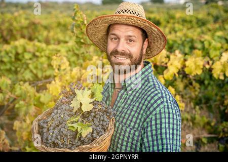 fermier plein de confiance dans le champ avec bouquet de raisins Banque D'Images