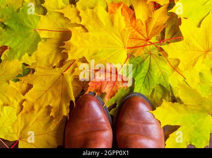 Bottes pour femmes ou bottes sur des feuilles colorées d'automne, vue du dessus Banque D'Images