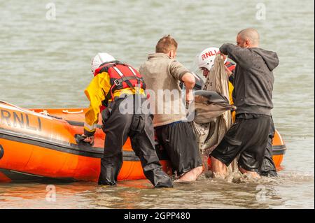 Timoleague, West Cork, Irlande. 30 septembre 2021. Un autre dauphin s'est retrouvé coincé à West Cork. Un dauphin s'est retrouvé coincé à Courtmacsherry en janvier de cette année. Ce dauphin a une queue endommagée et un œil est fermé en permanence. Deux habitants concernés, Mick et Clive, ont tenté d'aider le dauphin à nager en mer. Les RNLI de Courtmacsherry ont été appelés à libérer le dauphin en eau profonde. Crédit : AG News/Alay Live News Banque D'Images