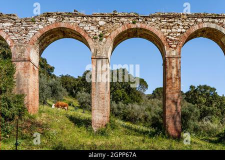 L'aqueduc de Lorrain longe le sentier de la 'via delle Fonti', dans la campagne de Campiglia Marittima, province de Livourne, Toscane, Italie Banque D'Images