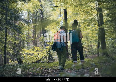Couple sur une randonnée dans les bois Banque D'Images