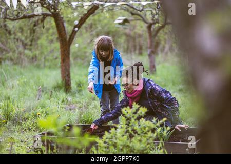 Mère et fille plantant des semences dans le jardin communautaire Banque D'Images