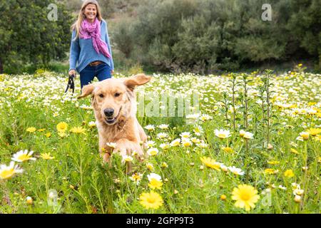 Espagne, Majorque, femme souriante avec Golden Retriever dans un pré en fleurs Banque D'Images