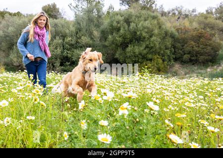 Espagne, Majorque, femme avec Golden Retriever dans les prairies en fleurs Banque D'Images