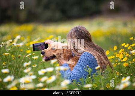 Espagne, Majorque, femme avec Golden Retriever prenant selfie dans le pré en fleur Banque D'Images