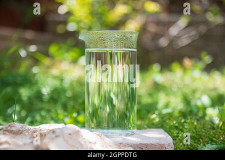 Le thé en fleur se dresse sur une pierre dans le jardin, servi avec des feuilles de citron et de menthe fraîche..verre à focalisation sélective Banque D'Images