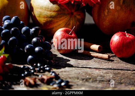 Foire d'automne : potiron, raisins, pommes, viburnum, bâtonnets de cassis et de cannelle avec ombres à grand angle sur table en bois. Concept de Thanksgiving. Arrière-plan extérieur d'automne.arrière-plan naturel. Copier l'espace Banque D'Images