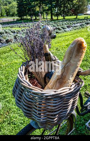 Plan vertical d'un panier placé sur un vélo dans le jardin Banque D'Images