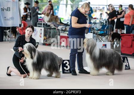 Brno, République tchèque. 30 septembre 2021. Le salon mondial du chien a eu lieu à Brno, République tchèque, le jeudi 30 septembre 2021. Crédit: Monika Hlavacova/CTK photo/Alamy Live News Banque D'Images