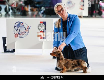 Brno, République tchèque. 30 septembre 2021. Le salon mondial du chien a eu lieu à Brno, République tchèque, le jeudi 30 septembre 2021. Crédit: Monika Hlavacova/CTK photo/Alamy Live News Banque D'Images