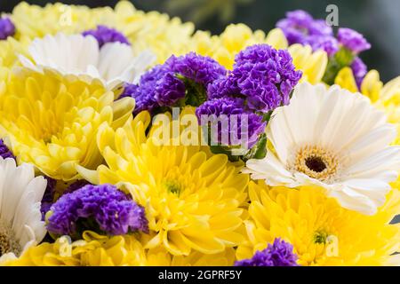 Bouquet de chrysanthèmes jaunes, gerberas blancs et fleurs violettes Banque D'Images