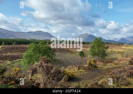 Premier aperçu des Highlands d'Écosse Banque D'Images