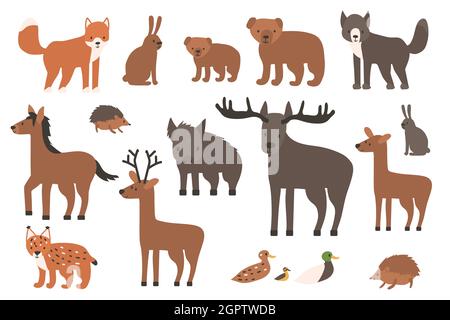 Ensemble d'animaux de forêt mignons. Personnage isolé vecteur renard, loup, ours, ourson, cerf, cerf de virginie, hérisson, lièvre, canard, lynx, cheval de lynx, sauvage Illustration de Vecteur