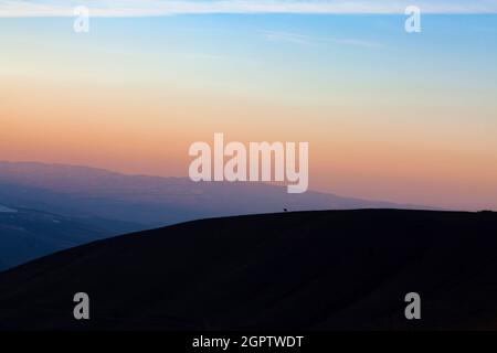 Avant le coucher du soleil, un cheval solitaire se dresse au sommet de la montagne. Les montagnes Majestic Tian Shan Banque D'Images