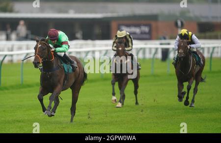 Le Genius lyrique, monté par Brian Hughes, remporte la course de Dreamland Bedding Open NH Flat Race à l'hippodrome de Warwick. Date de la photo : jeudi 30 septembre 2021. Banque D'Images