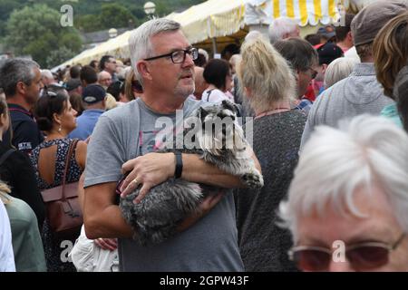 Festival des fruits de mer de Cardigan Bay, Aberaeron, Ceredigion 9 juillet 2017 Banque D'Images