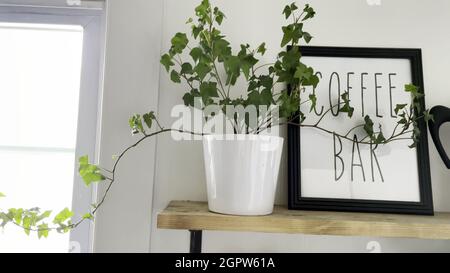 Gros plan d'une plante dans un pot blanc à côté d'une peinture et d'une fenêtre, le tout dans un style minimaliste. Banque D'Images