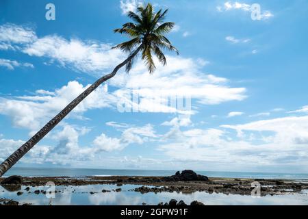 Plage idyllique avec de l'eau cristalline dans l'île de Boipeba, État de Bahia, Brésil Banque D'Images