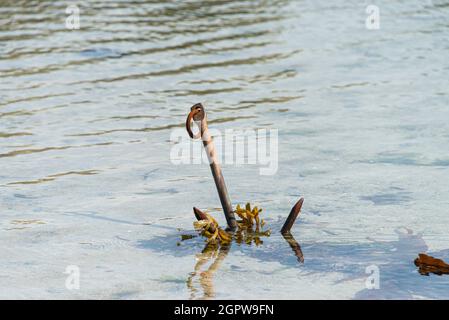 Une ancre dans Kitchen Porth, Bryher, Isles of Scilly Banque D'Images