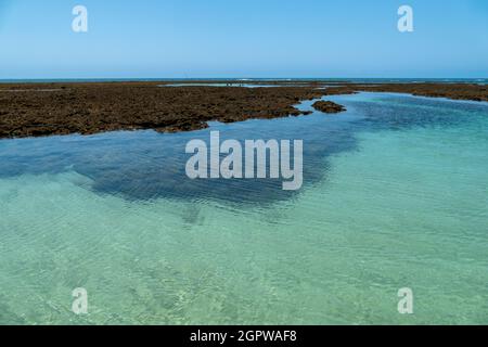 Plage idyllique avec de l'eau cristalline dans l'île de Boipeba, État de Bahia, Brésil Banque D'Images