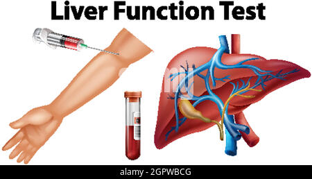Ensemble de tests de la fonction hépatique pour l'éducation Illustration de Vecteur