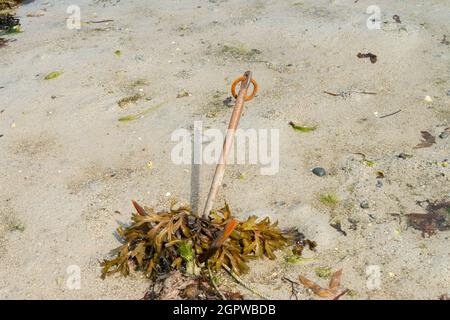 Une ancre dans Kitchen Porth, Bryher, Isles of Scilly Banque D'Images