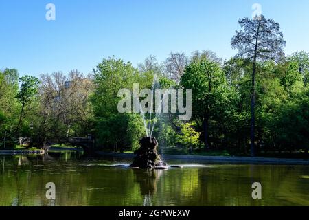 Paysage vert vif avec de vieux grands tilleuls et des feuilles vertes près du lac dans le jardin de Cismigiu (Gradina Cismigiu), un parc public dans la ville cent Banque D'Images