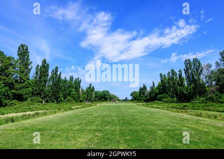 Paysage avec d'anciens arbres verts et prairie d'herbe de leager à l'entrée dans le parc du Roi Michael I (ancien Herastrau) à Bucarest, en Roumanie, dans une source ensoleillée Banque D'Images