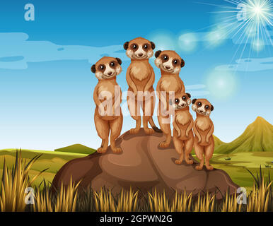 Meerkats debout sur le rocher Illustration de Vecteur