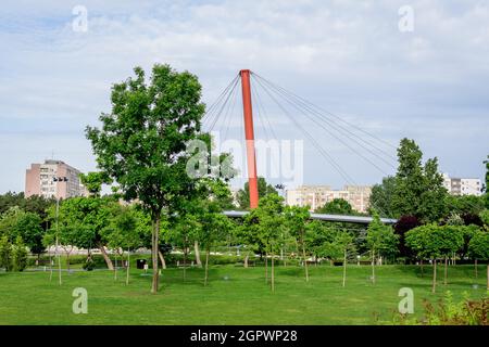 Bucarest, Roumanie - 25 mai 2021 : paysage avec le pont métallique moderne, le lac et les arbres verts dans le parc de Drumul Taberei (Parcul Drurul Taberei) également Banque D'Images