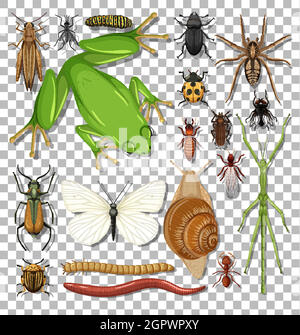 Ensemble d'insectes différents sur fond transparent Illustration de Vecteur