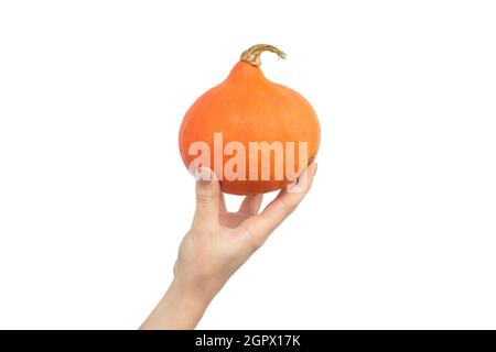 Main avec Orange Hokkaido Pumpkin isolé sur un fond blanc Banque D'Images