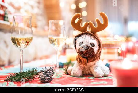 Jouet de chien bourré portant des oreilles de renne assis sur la table près des verres de champagne sur fond de vacances de Noël - Fête d'hiver et concept amusant Banque D'Images