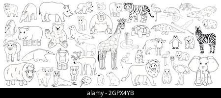 Ensemble de dessin animé isolé Savannah animaux de forêt afro-américaine. Vecteur ligne mignon tigre lion rhinocéros buffle zébrée éléphant girafe crocod Illustration de Vecteur