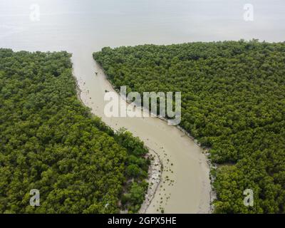 Vue aérienne de la rivière qui coule dans la mer entourée de mangroves. Banque D'Images