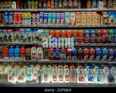 Une vaste sélection de lait et de boissons à base de plantes dans un réfrigérateur de supermarché à New York le vendredi 24 septembre 2021. (© Richard B. Levine) Banque D'Images