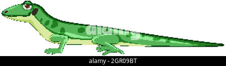 Gecko ou lézard dans le style de dessin animé vert isolé Illustration de Vecteur