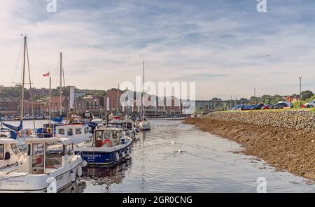 Des lignes de yachts sont amarrées à une jetée dans le port de plaisance de Whitby. Les bâtiments sont sur la rive et un pont est au loin. Deux cygnes nagent. Banque D'Images