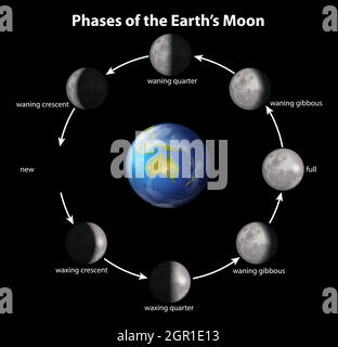 Phases de la lune de la Terre Illustration de Vecteur