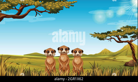 Meerkats dans le paysage africain Illustration de Vecteur