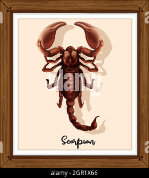 Scorpion sur cadre en bois Illustration de Vecteur